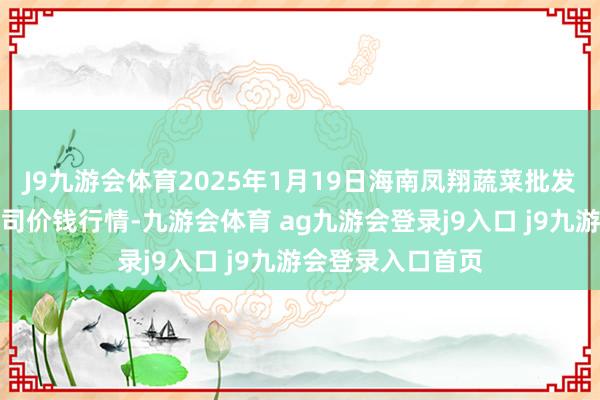 J9九游会体育2025年1月19日海南凤翔蔬菜批发市集贬责有限公司价钱行情-九游会体育 ag九游会登录j9入口 j9九游会登录入口首页