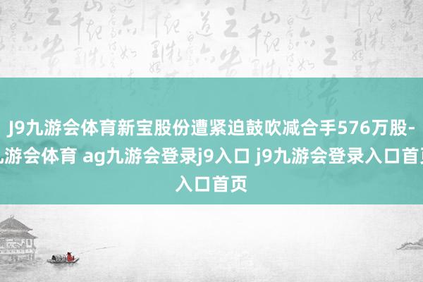 J9九游会体育新宝股份遭紧迫鼓吹减合手576万股-九游会体育 ag九游会登录j9入口 j9九游会登录入口首页