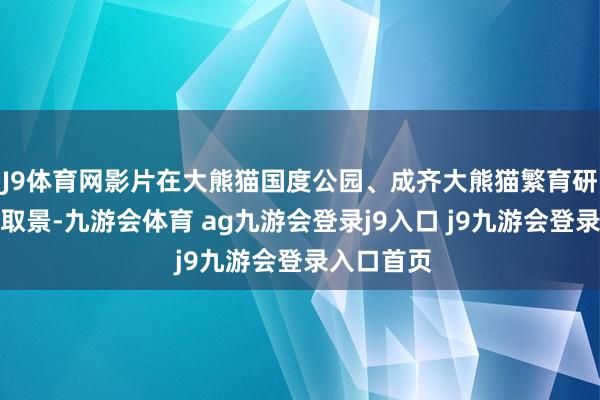 J9体育网影片在大熊猫国度公园、成齐大熊猫繁育研究基地等取景-九游会体育 ag九游会登录j9入口 j9九游会登录入口首页