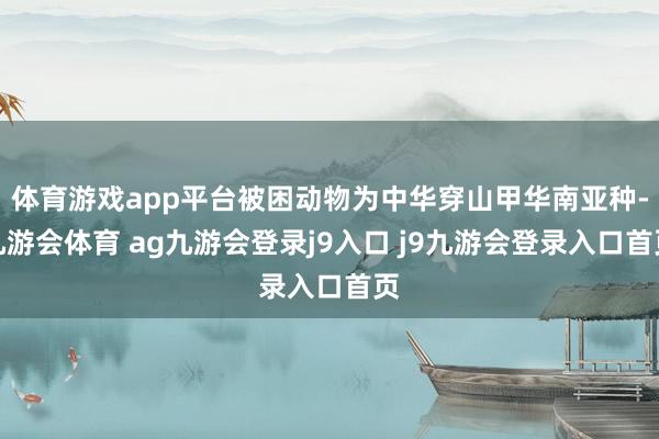 体育游戏app平台被困动物为中华穿山甲华南亚种-九游会体育 ag九游会登录j9入口 j9九游会登录入口首页
