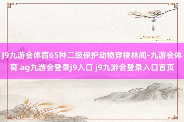 J9九游会体育65种二级保护动物穿梭林间-九游会体育 ag九游会登录j9入口 j9九游会登录入口首页