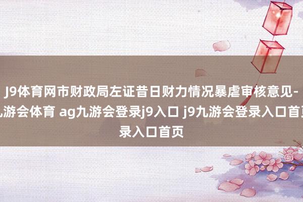 J9体育网市财政局左证昔日财力情况暴虐审核意见-九游会体育 ag九游会登录j9入口 j9九游会登录入口首页