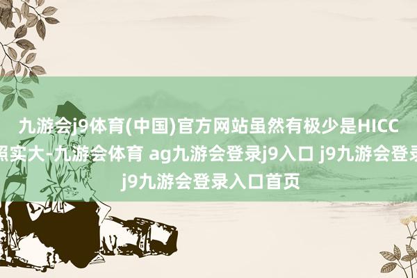 九游会j9体育(中国)官方网站虽然有极少是HICC开发难度照实大-九游会体育 ag九游会登录j9入口 j9九游会登录入口首页