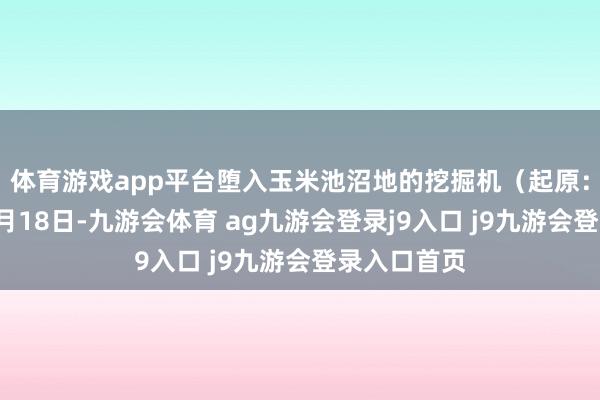 体育游戏app平台堕入玉米池沼地的挖掘机（起原：受访者）9月18日-九游会体育 ag九游会登录j9入口 j9九游会登录入口首页