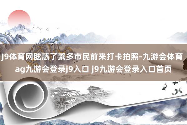 J9体育网眩惑了繁多市民前来打卡拍照-九游会体育 ag九游会登录j9入口 j9九游会登录入口首页