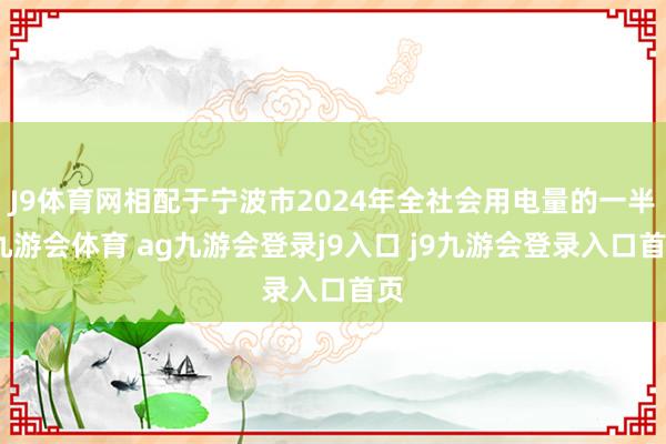 J9体育网相配于宁波市2024年全社会用电量的一半-九游会体育 ag九游会登录j9入口 j9九游会登录入口首页