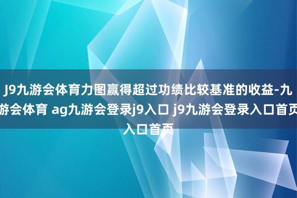 J9九游会体育力图赢得超过功绩比较基准的收益-九游会体育 ag九游会登录j9入口 j9九游会登录入口首页