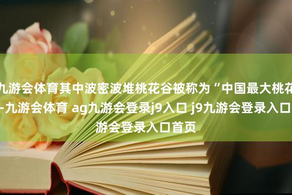 九游会体育其中波密波堆桃花谷被称为“中国最大桃花谷”-九游会体育 ag九游会登录j9入口 j9九游会登录入口首页