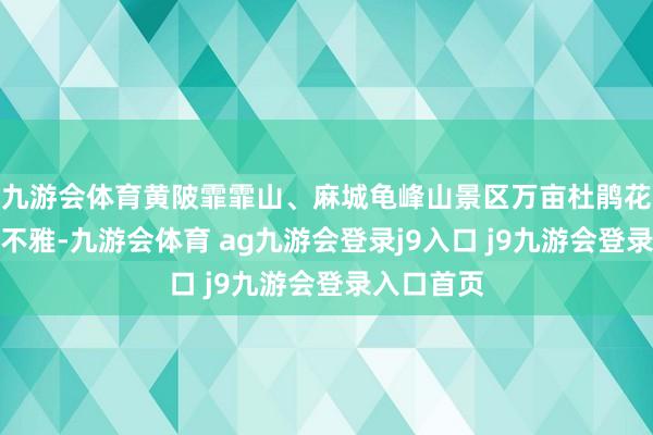 九游会体育黄陂霏霏山、麻城龟峰山景区万亩杜鹃花海蔚为壮不雅-九游会体育 ag九游会登录j9入口 j9九游会登录入口首页