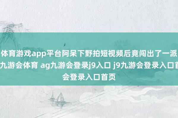 体育游戏app平台阿呆下野拍短视频后竟闯出了一派天-九游会体育 ag九游会登录j9入口 j9九游会登录入口首页