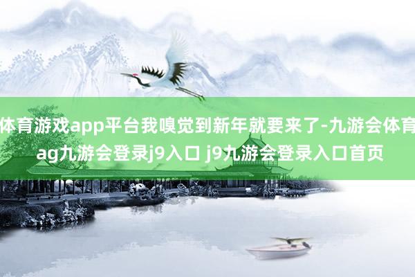 体育游戏app平台我嗅觉到新年就要来了-九游会体育 ag九游会登录j9入口 j9九游会登录入口首页