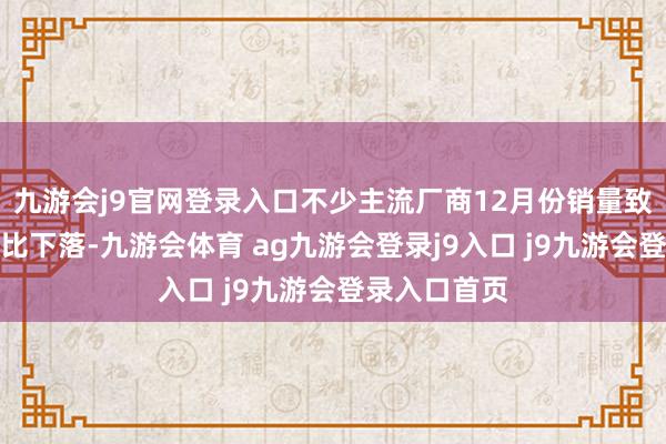 九游会j9官网登录入口不少主流厂商12月份销量致使出现了环比下落-九游会体育 ag九游会登录j9入口 j9九游会登录入口首页