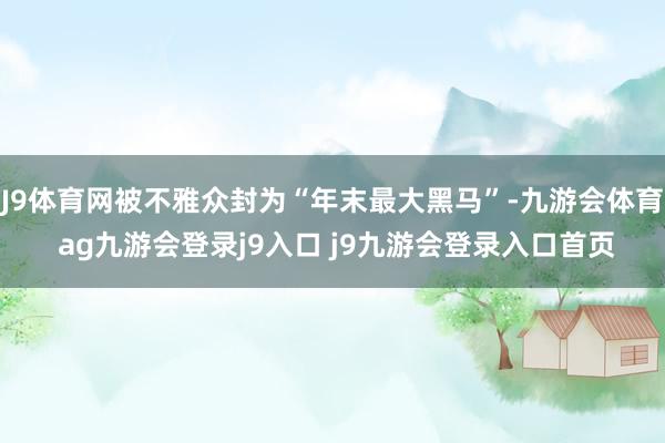J9体育网被不雅众封为“年末最大黑马”-九游会体育 ag九游会登录j9入口 j9九游会登录入口首页