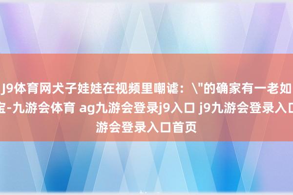 J9体育网犬子娃娃在视频里嘲谑：