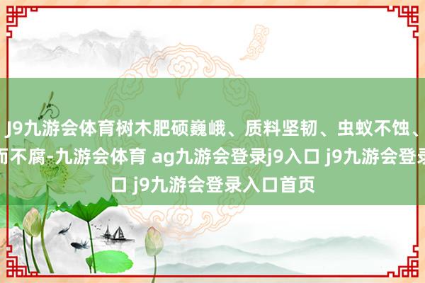 J9九游会体育树木肥硕巍峨、质料坚韧、虫蚁不蚀、历经千年而不腐-九游会体育 ag九游会登录j9入口 j9九游会登录入口首页