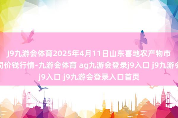 J9九游会体育2025年4月11日山东喜地农产物市集解决有限公司价钱行情-九游会体育 ag九游会登录j9入口 j9九游会登录入口首页